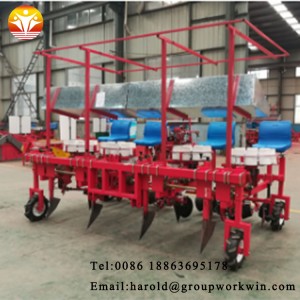 High Quality Green Onion Seedling Transplanting MachinePotato planter
