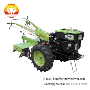 two cylinder air cooled diesel engine economic farm tractor