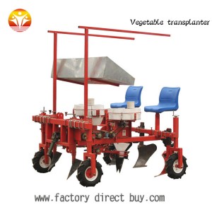 Chinese vegetable seedling transplanting machine