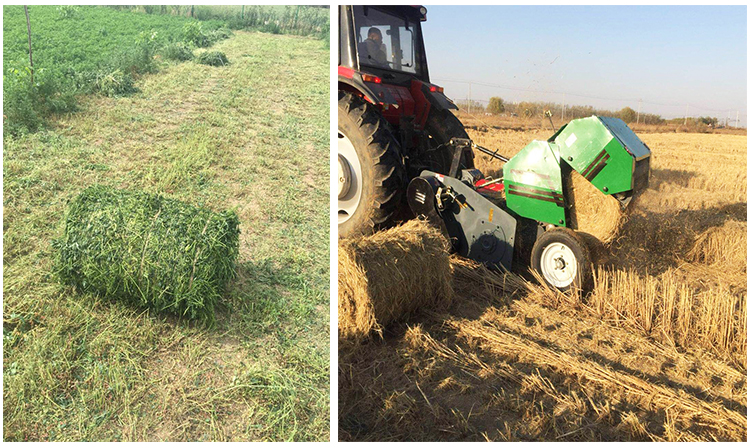 1545708670933719.jpg baler1.jpg