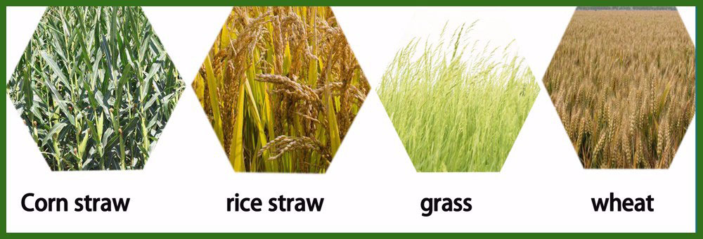 1542618561818558.jpg 1542427614350390.jpg