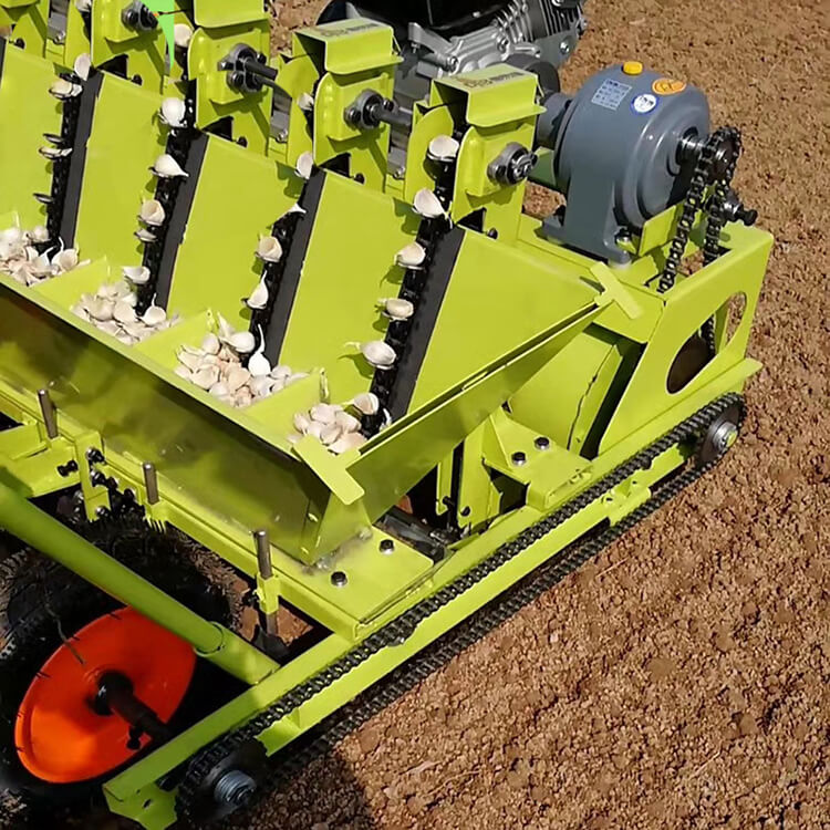 Aautomatic garlic planter Detailed