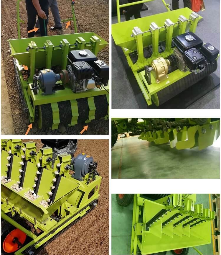 Aautomatic garlic planter Detailed