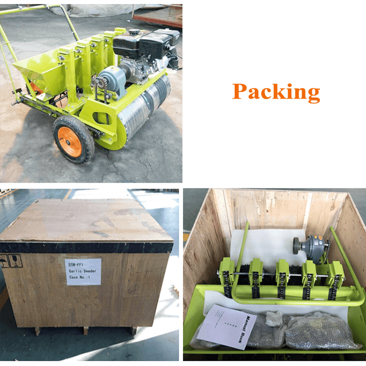 Aautomatic garlic planter Packing