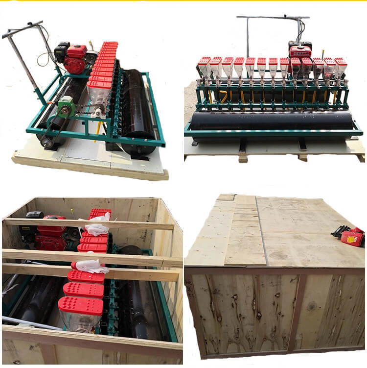 vegetable seedling planter onion seeder Packing