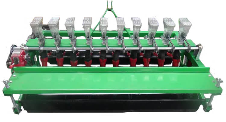 Onion Planter Onion Planter