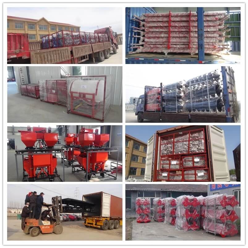 Onion Seeder Packing Onion Seeder Packing