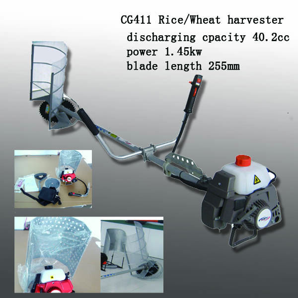 CG411 600-600 alibaba2